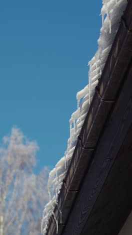 frozen snow hanging over a roof. vertical video of icicles on a roof in a sunny and cold winter day.