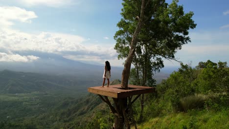 young girl standing on wooden platform in bali overlooking a beautiful valley during the day, aerial