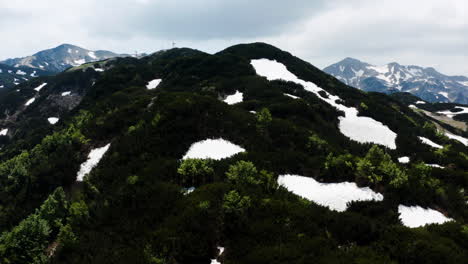 슬로베니아 트리글라브 국립공원에 있는 보겔산의 고산봉
