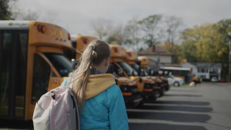 a student walks along a row of yellow school buses. back view