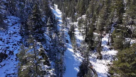 Aerial-view-of-cars-driving-on-snowy-road-near-forest