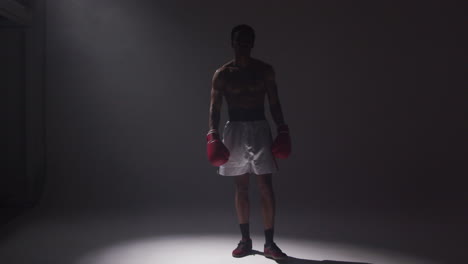 a boxer stands in a studio with a spotlight on him, showing off his muscles and boxing gloves.