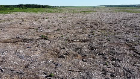 une vue aérienne d'un terrain qui a été défriché d'arbres et paillé en vue de préparer le terrain pour l'agriculture