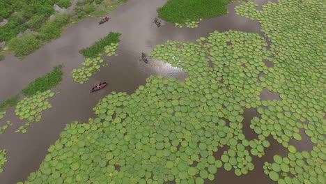 overhead drone shot of a river full of yrupe