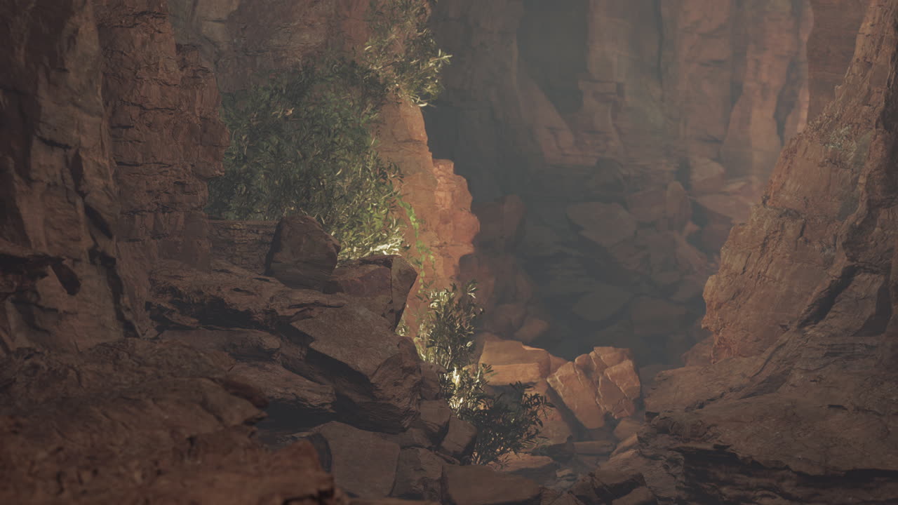 A dark, narrow cave entrance with rock walls and some green plants