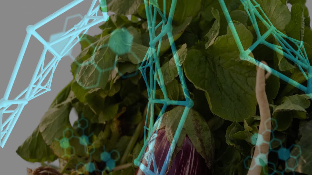 Sequence starting, wireframe and code panels sliding over leafy greens, mapping nutrient data