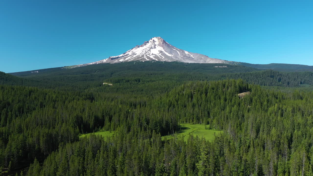 Drone shot over trees, approaching the snowy mt Hood, summer in sunny Oregon, USA