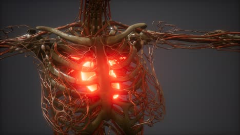 cg animation of a sick human heart