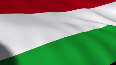 Hungarian-Flag