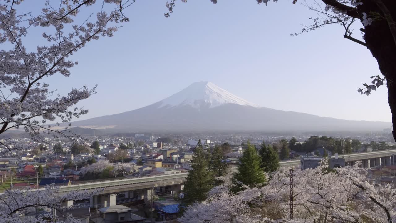 Slow motion dolly in over Mt. Fuji panorama during cherry blossom season