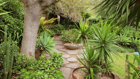 a tranquil walk through a lush garden