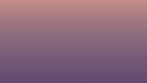 animación de texto de amor y tacones altos sobre fondo rosa