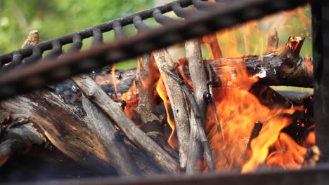 Firewood-Burns-in-Campfire-with-Grill-in-Woods