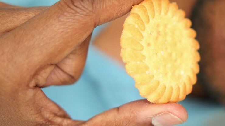 Hand holding a round cookie