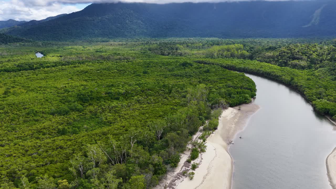 Drone glides above lush Daintree Rainforest, revealing a winding river, dense greenery, sandy banks, and distant mountains under diffused daylight