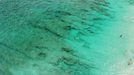 imágenes aéreas de increíbles aguas turquesas claras con turistas que nadan