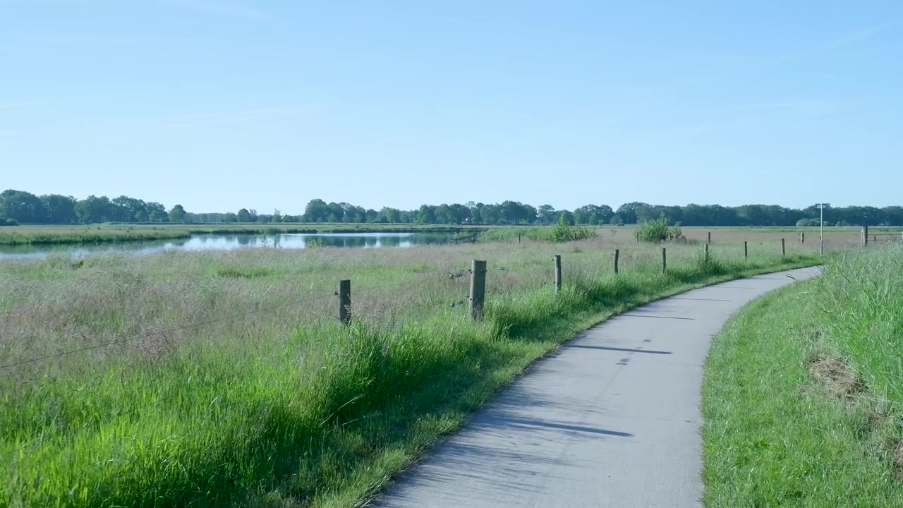 Paved Path Through Lush Green Meadow Beside a Calm River