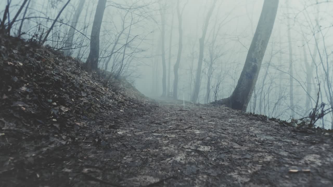 First-person view of a rainy hiking trail in a foggy winter forest. Natural environment with wet ground, leafless trees, and heavy mist, great for outdoor and weather content