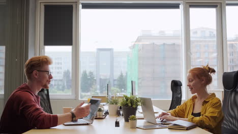 coworkers sitting in front of window