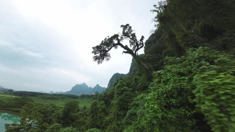 aerial view over the tranquil waters and green landscape of blue lagoon, laos, surrounded by high cliffs, rise between overhanging trees