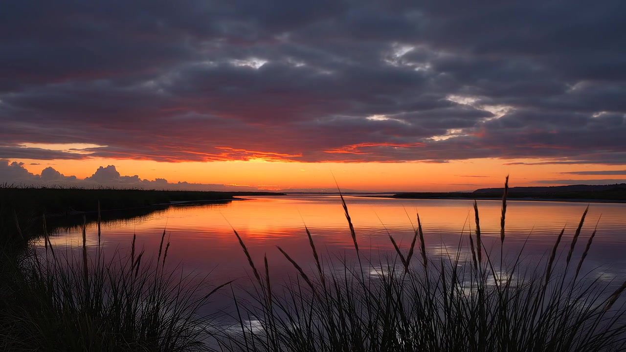 Orange sunset reflecting in calm water with grass silhouettes
