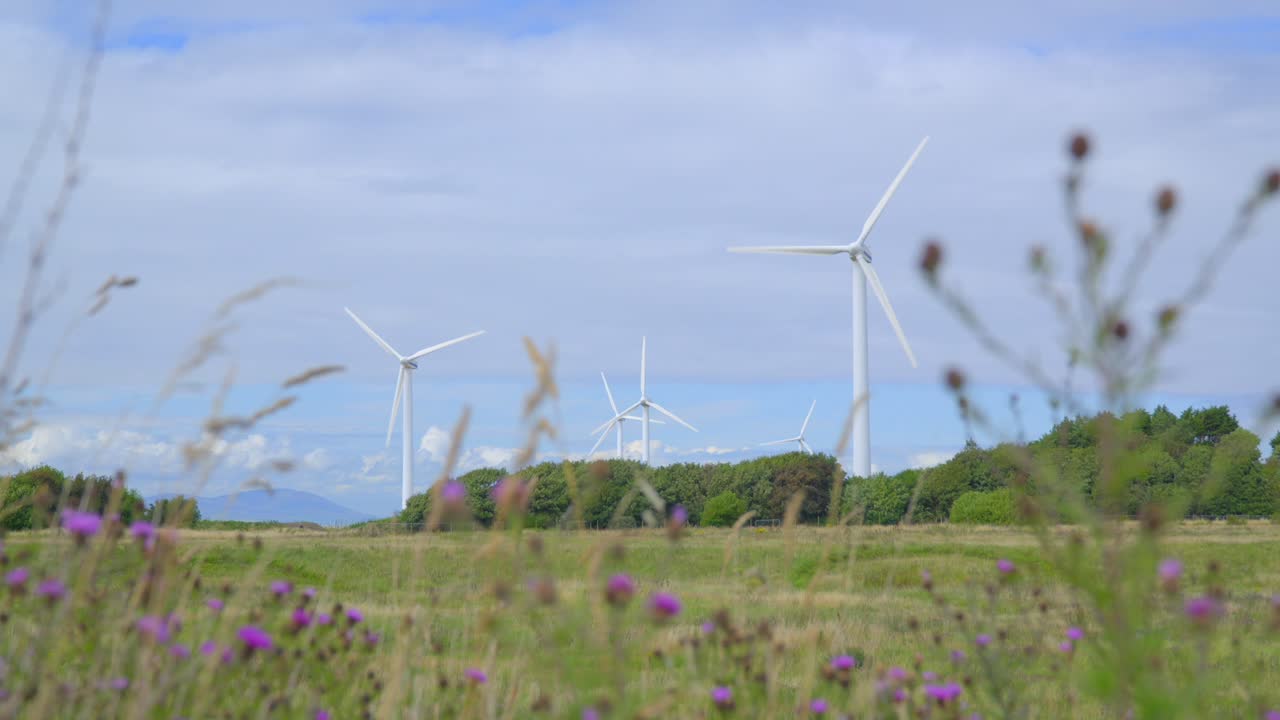 풍력 터빈 추적  ⁇ 과 꽃을 피우는 전면 잡초와 푸른 초원 구름이 많은 여름 날