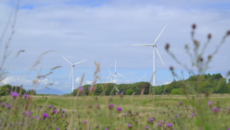 Wind-turbine-tracking-shot-with-flowering-foreground-weeds-and-grassy-meadow-on-cloudy-summer-day