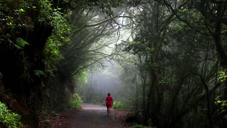 Un-Bosque-Verde-Con-árboles-Densos-A-Través-De-Los-Cuales-La-Luz-Del-Sol-Brilla-En-Un-Camino-Que-Una-Mujer-Admiradora-Con-Un-Vestido-Rojo-Camina-Relajada---Parque-Nacional-De-Garajonay,-Canarias,-España