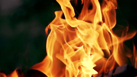 Bright burning wood. Burning wood bonfire in brazier outdoor. Flames fire BBQ in nature. Slow motion