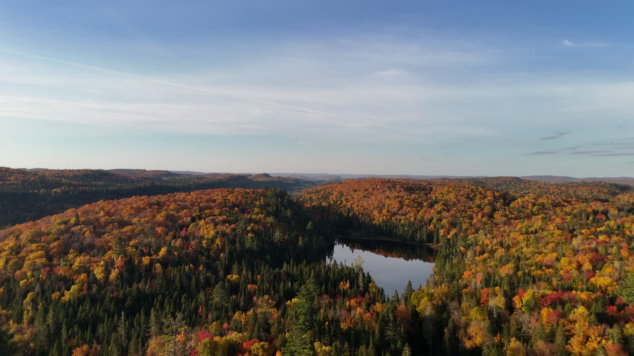 Aerial view at morning golden hour over a vibrant autumn forest, lake, and mountains in Mauricie, Quebec, Canada. Soft light reveals the rich fall colors