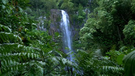 cascada en el paraíso tropical, maui