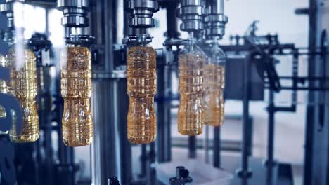 plastic bottles with oil moving in a circle way. industrial equipment filling sunflower oil into the bottles. cooking oil factory production.