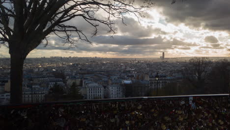 amplia vista de los tejados de la ciudad de parís