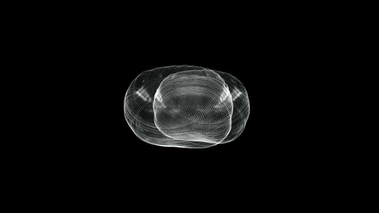 pantalla de representación holográfica 3d del cerebelo en el cuerpo humano - bucle