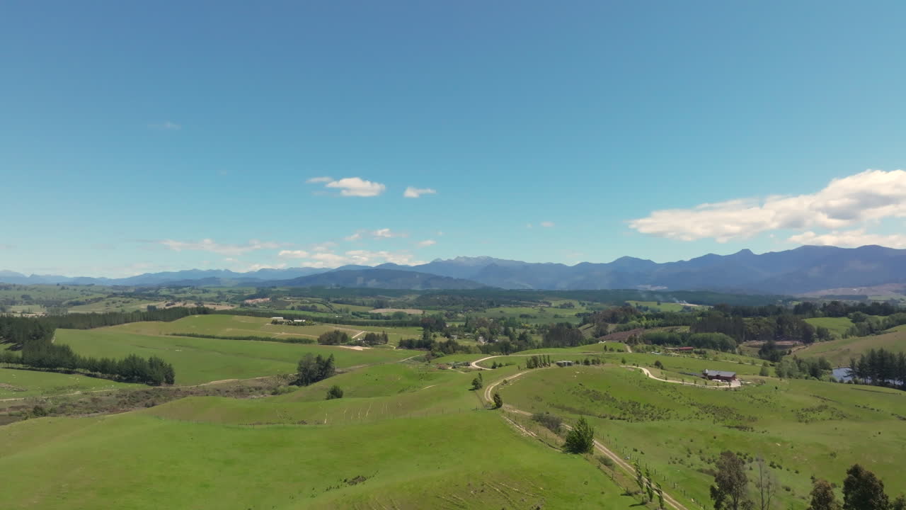 Ripresa aerea con drone dei campi verdi ondulati nel distretto di Tasman, Nuova Zelanda