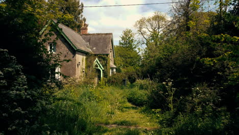 a drone shot that tracks through foliage to reveal an overgrown house