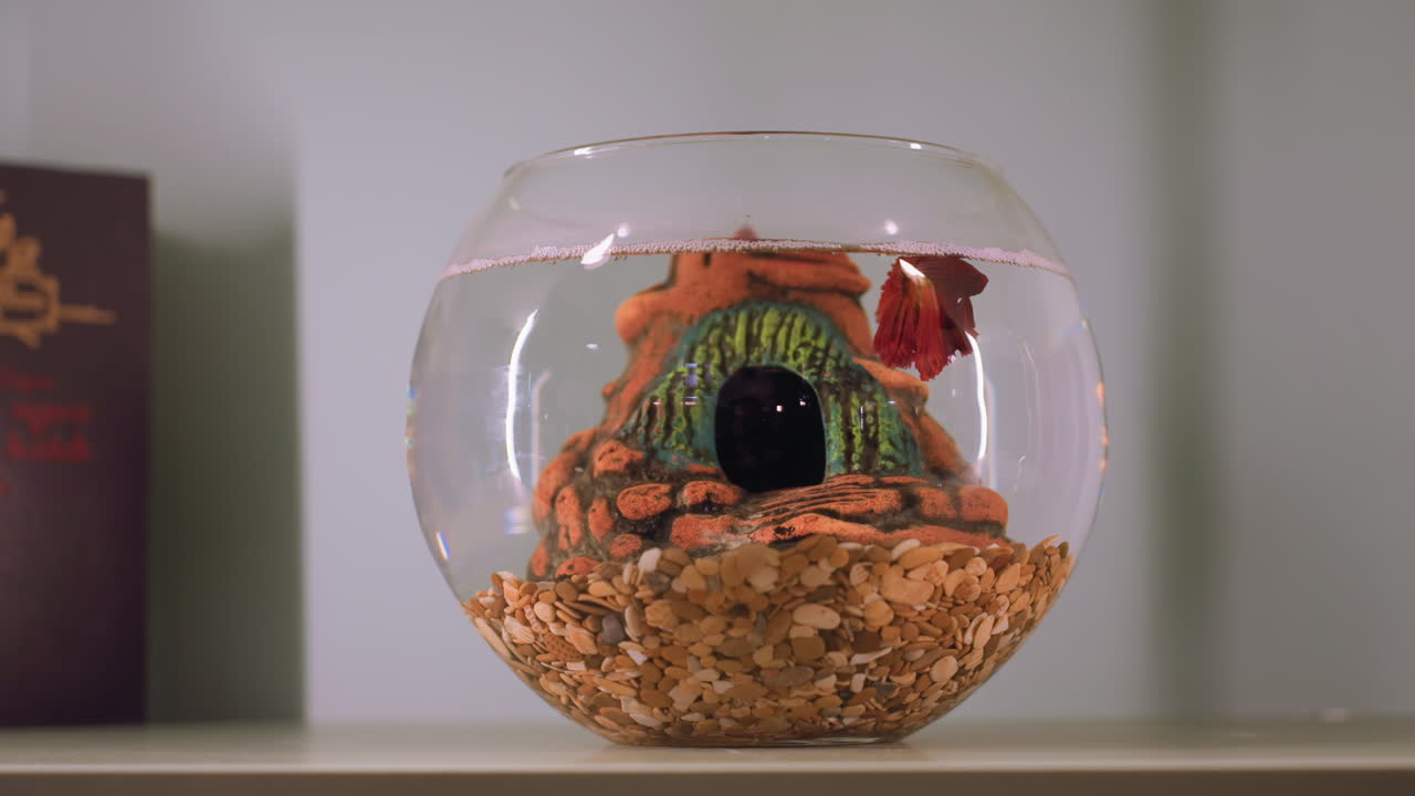 Transparent glass fish bowl filled with pebbles and vibrant red fish swimming near colorful eye-like decorative structure shaped like miniature house under clean indoor lighting on shelf