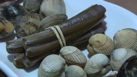 assortment of fresh shellfish