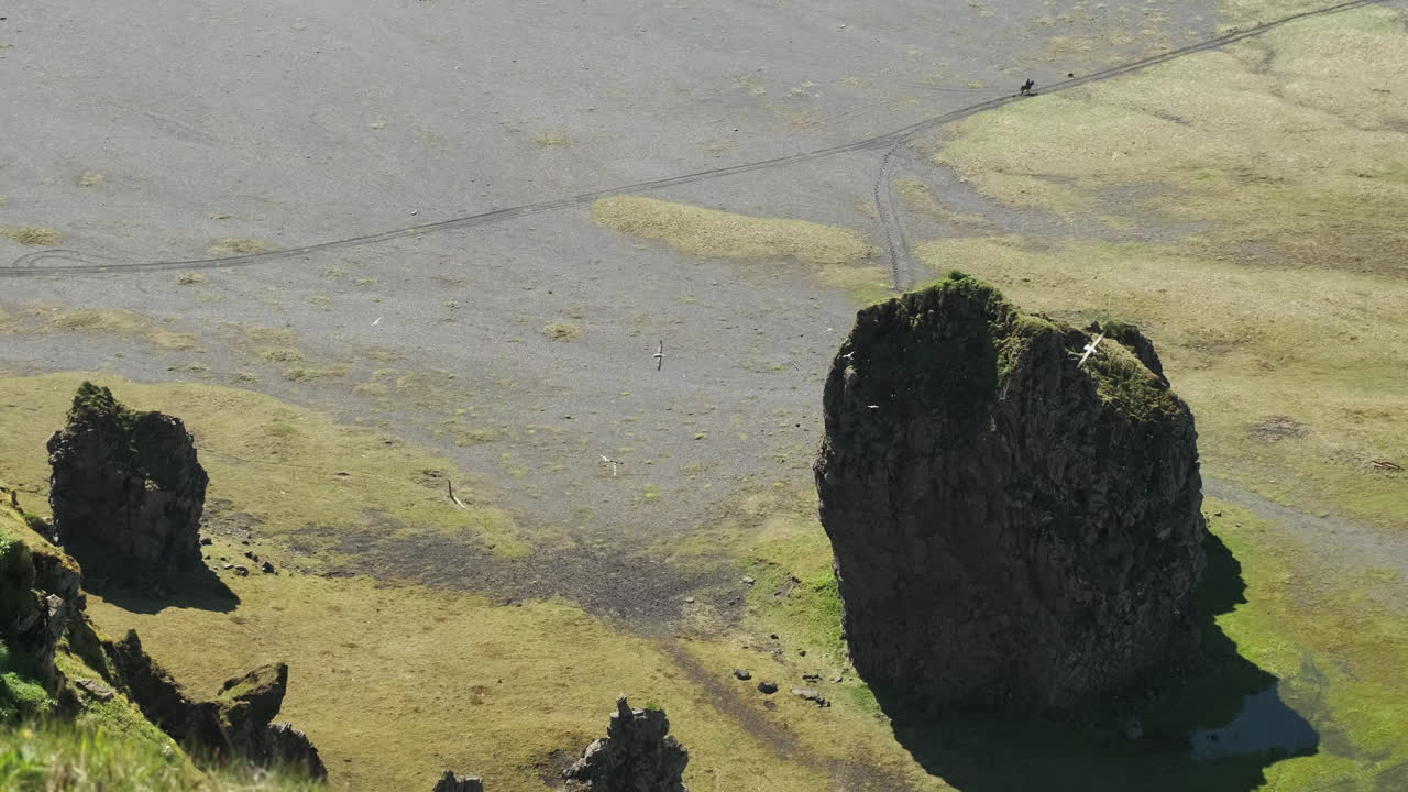 aves marinas y rocas masivas en la playa de arena negra de la costa sur de dyrholaey, islandia