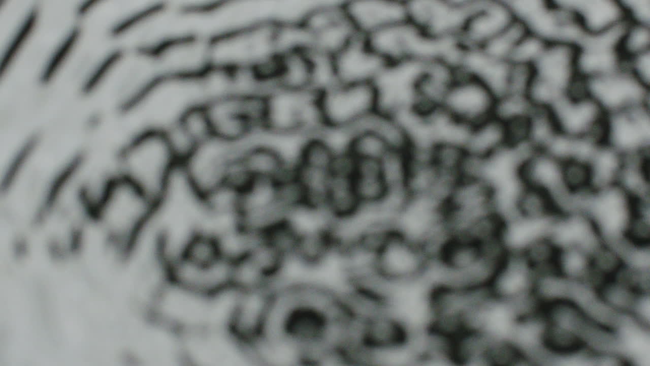 el agua comienza a vibrar y forma círculos concéntricos