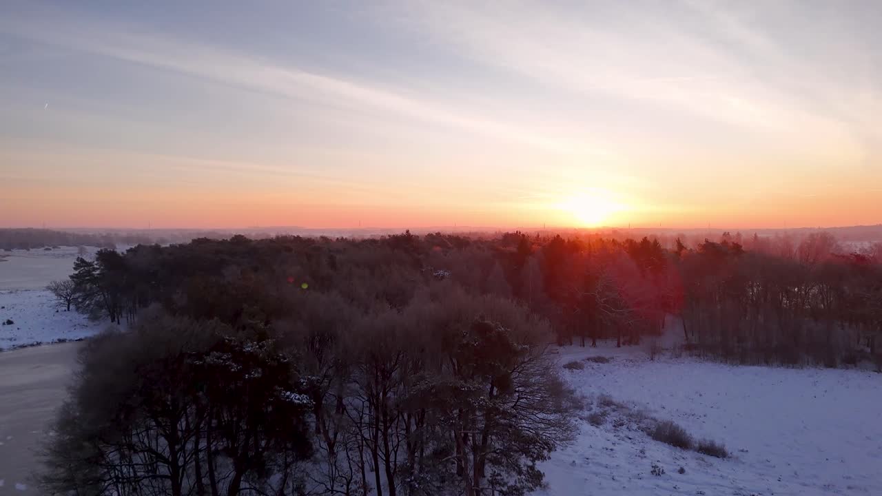 Vinter soloppgang over snødekt skoglandskap