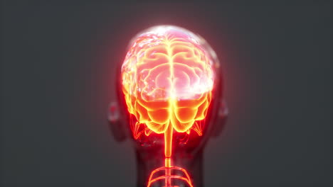 Human-Headache-Concept-Glowing-Xray-Brain