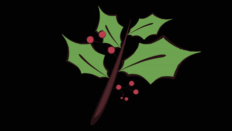 holly branch illustration