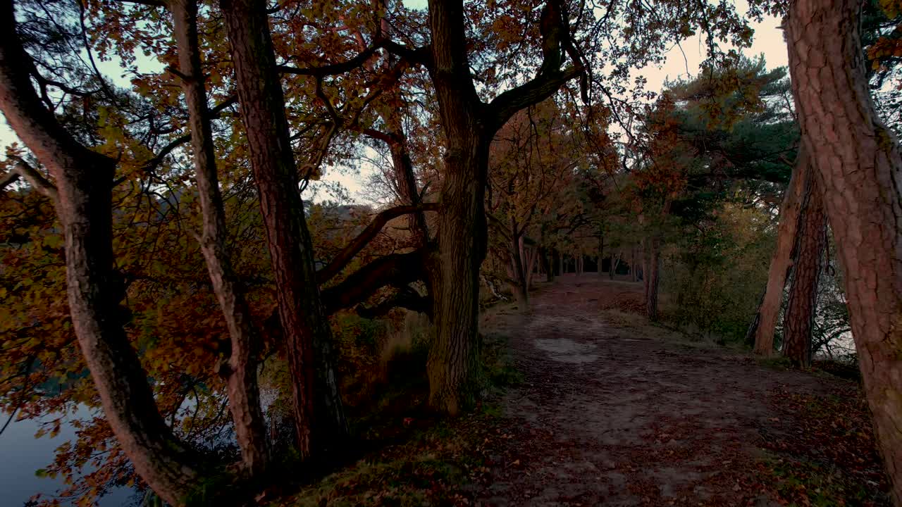 tonos naranjas a través del camino en la península en el lago de ijzeren man con coloridos árboles y follaje de color otoñal a primera hora de la mañana