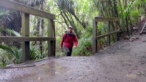 man outdoors wearing backpack, red waterproof coat and active gear, walking up steps in a forest on bridal veil falls track in new zealand, aotearoa