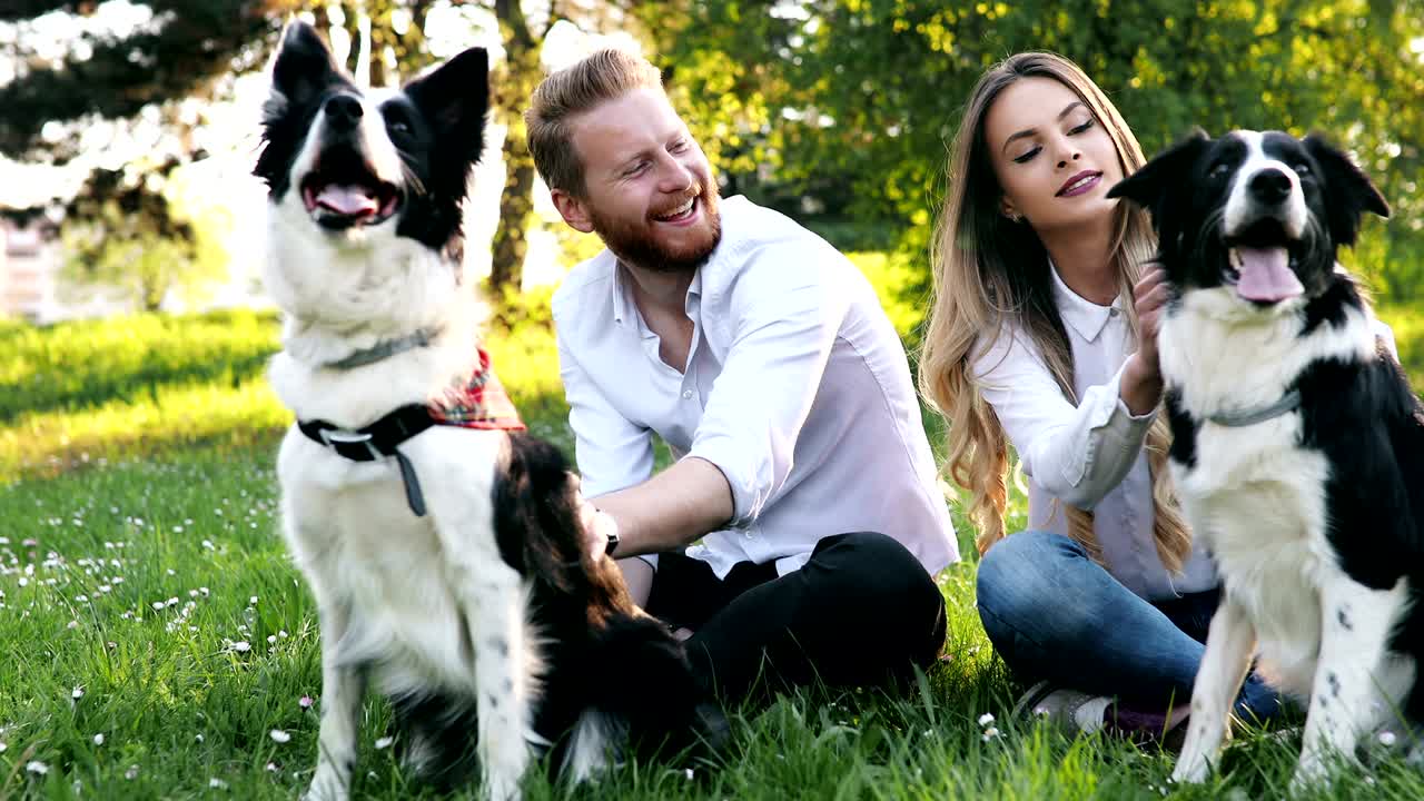 hermosa pareja acurrucada y paseando perros al aire libre