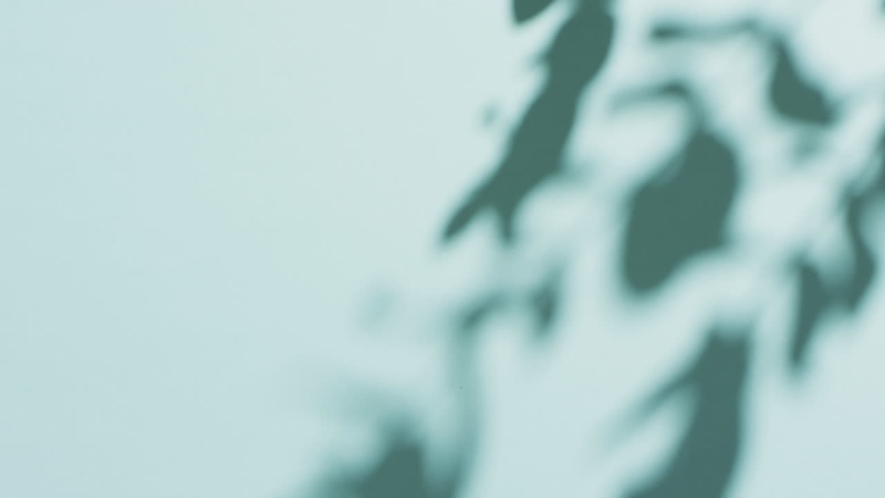 Animation of twigs with leaves moving with copy space over blue background