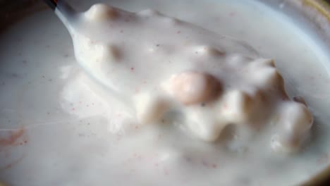pouring yogurt/dairy sauce into bowl