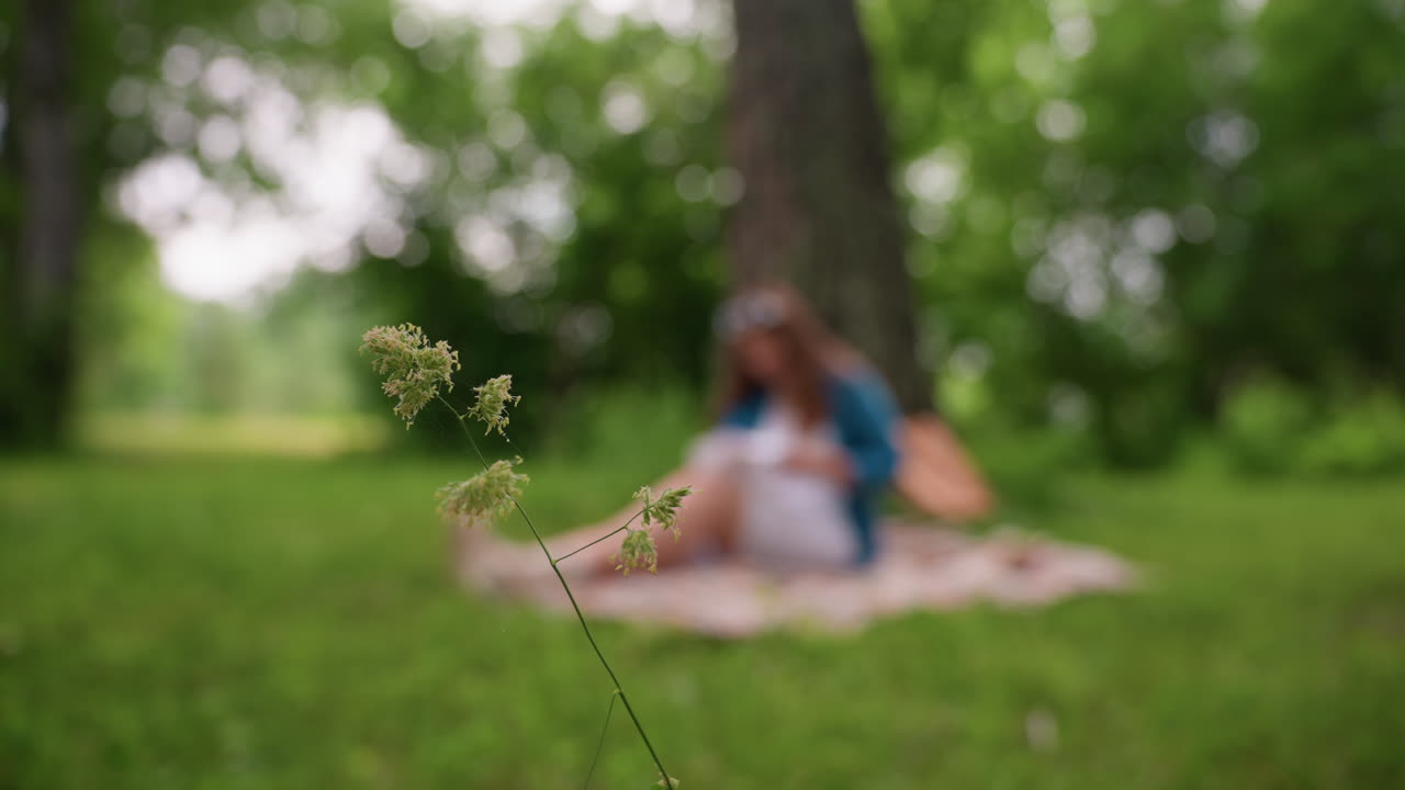 Close up of delicate plant stem swaying gently in breeze with blurred view of person sitting on blanket under tree, surrounded by lush greenery, capturing calm summer atmosphere