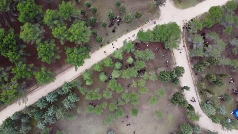 Escena-Cenital-Bosque-Medieval-Encrucijada-De-Grava-Con-Muchos-Campesinos-Ladrones-Y-Peleando